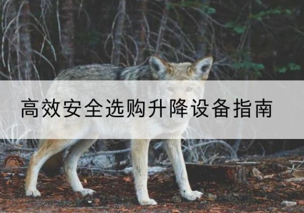 鞍山升降货梯厂家推荐-*安全选购升降设备指南