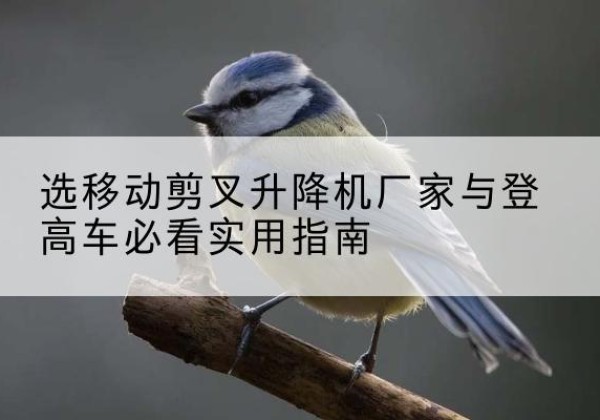 鞍山电动升降机厂家-选移动剪叉升降机厂家与登高车必看实用指南